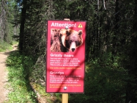 Be Bear Aware